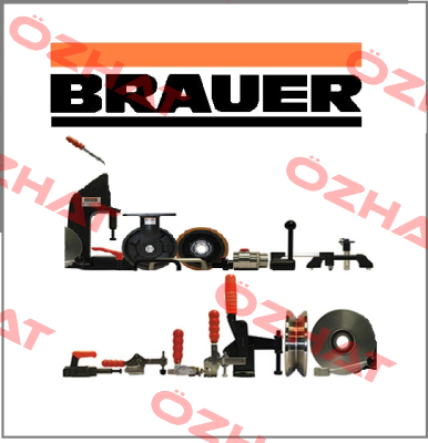 Brauer