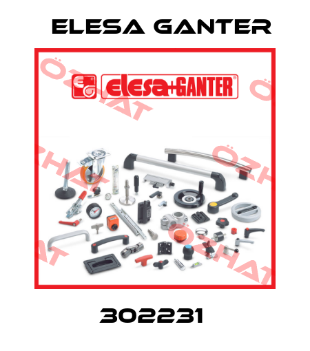 302231  Elesa Ganter