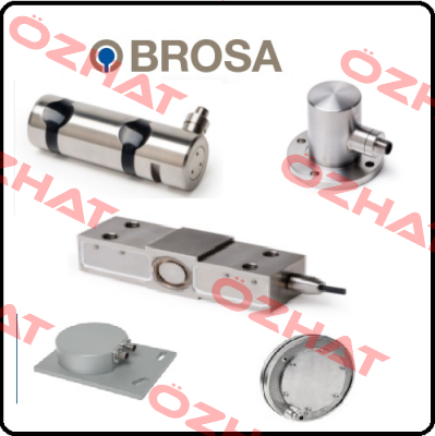 TYPE:0310  Brosa