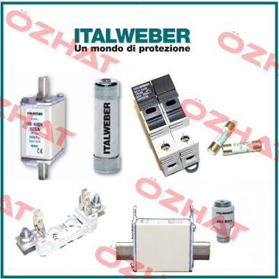 01289  Italweber