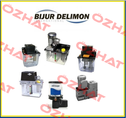 38011  Bijur Delimon