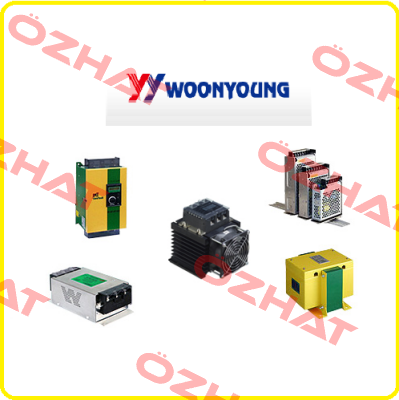 3822-300AW WOONYOUNG