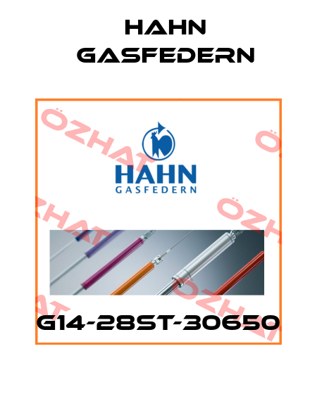 G14-28ST-30650 Hahn Gasfedern