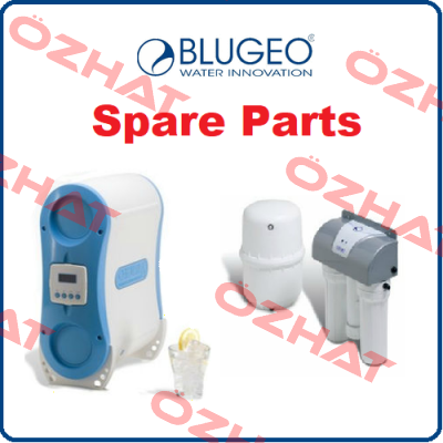 ST0132  Blugeo