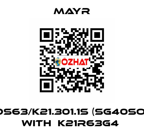 DS63/K21.301.1S (SG40SO) with  K21R63G4  Mayr