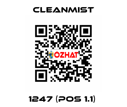 1247 (pos 1.1)  CleanMist