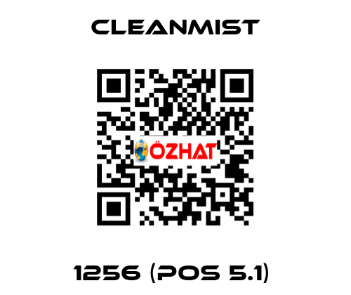 1256 (pos 5.1)  CleanMist