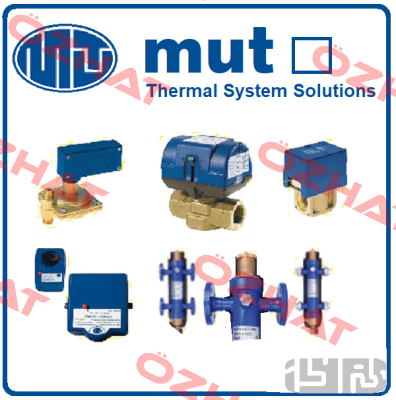 7.001.02096 obsolete, replacement 7.001.01876,7.001.01876  Mut Meccanica Tovo SpA