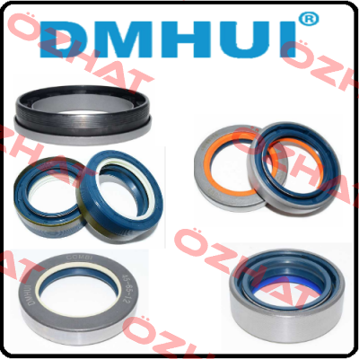 BE6656F DMHUI