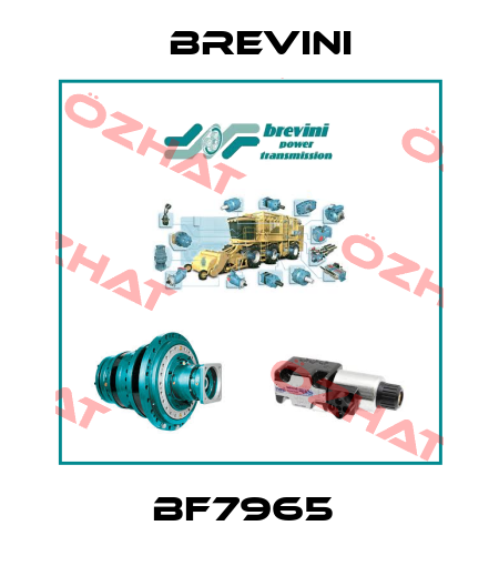 BF7965  Brevini