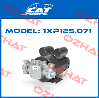 1XP125.071 Cat Pumps