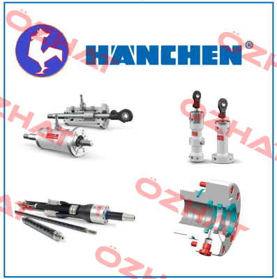 Dichtungsset Hanchen