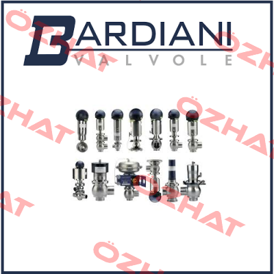 DN 50 ZVF BUTTERFLY VALVE MAINTENANCE KIT  Bardiani Valvole