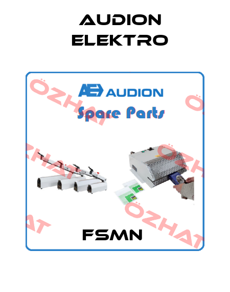 FSMN  Audion Elektro