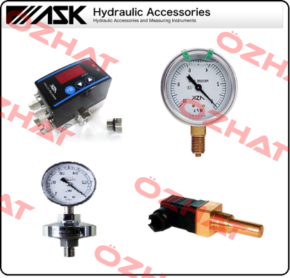 OPG-AT-R1/4-60X10MPA  Ask