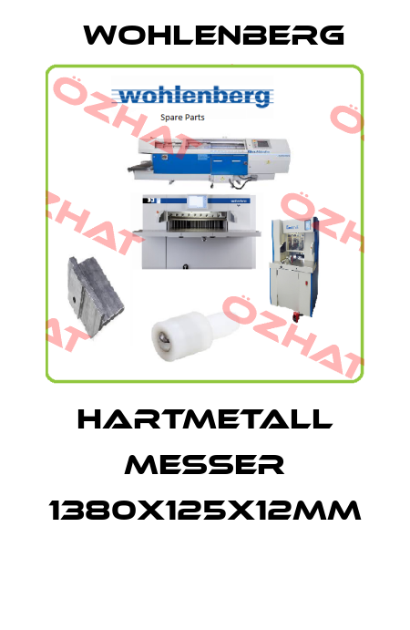 Hartmetall Messer 1380x125x12mm  Wohlenberg