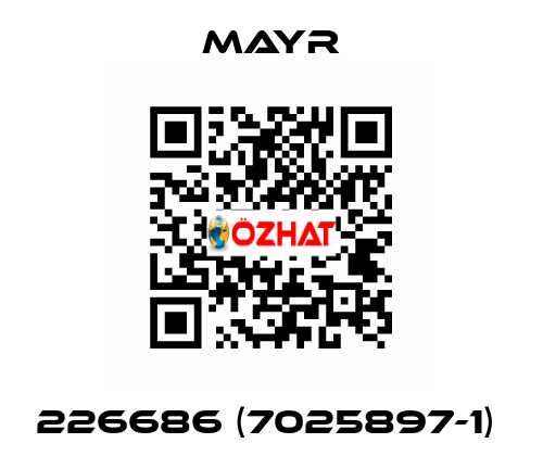 226686 (7025897-1)  Mayr