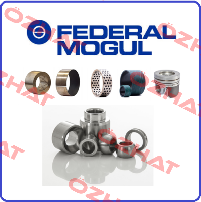 LWD 76.97 H- 10 Federal Mogul