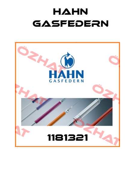 1181321 Hahn Gasfedern
