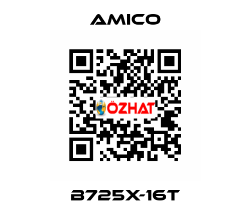 B725X-16T AMICO