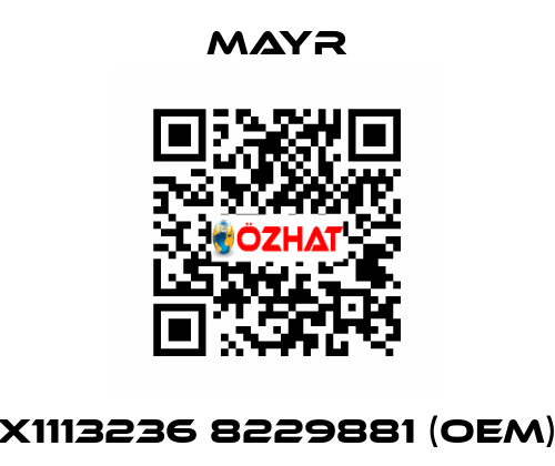 X1113236 8229881 (OEM) Mayr