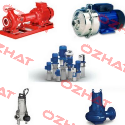 PM21/A 101130115 Lowara