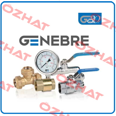 PN16, DN20  Genebre