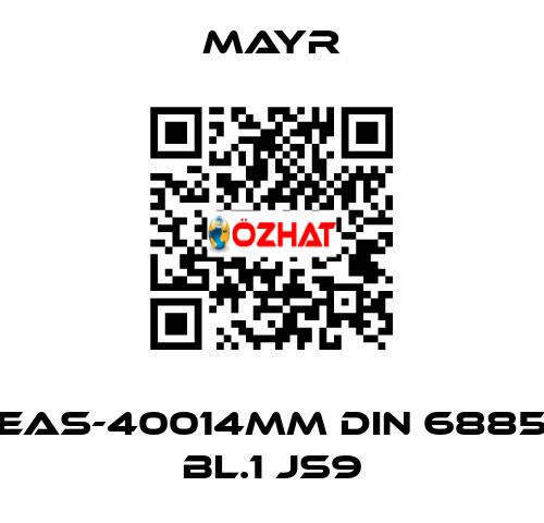 EAS-40014MM DIN 6885 BL.1 JS9 Mayr