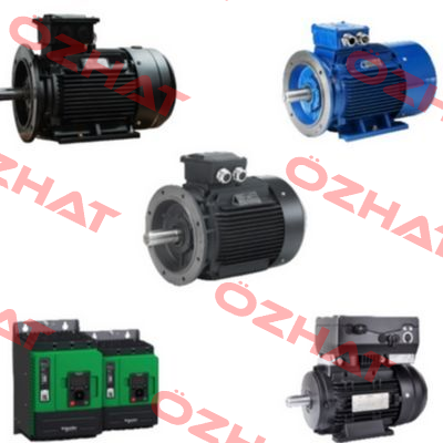 Y2E2 250M1 - 4 pole Hoyer Motors