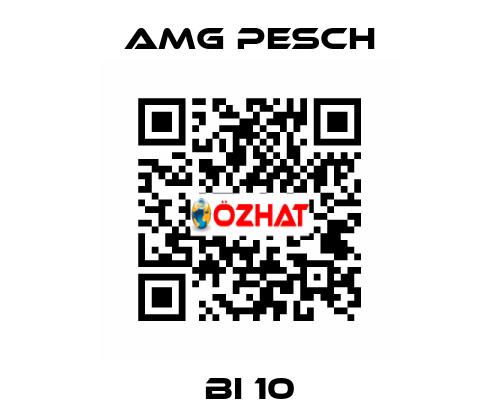 BI 10 AMG Pesch