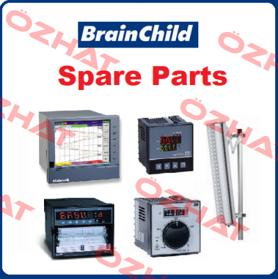 BTC-404-5-1-5-1-1-0-1-0(0001951) Brainchild