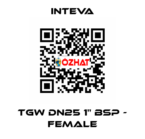 TGW DN25 1" BSP - female Inteva