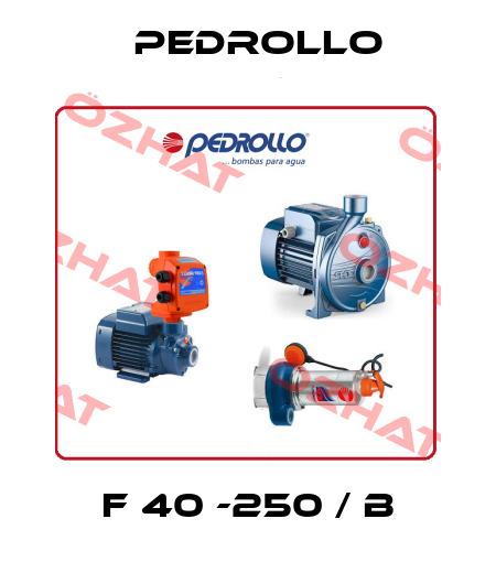 F 40 -250 / B Pedrollo