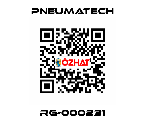  RG-000231 Pneumatech