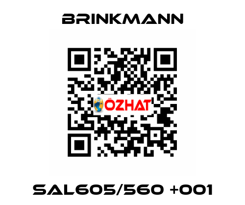 SAL605/560 +001 Brinkmann