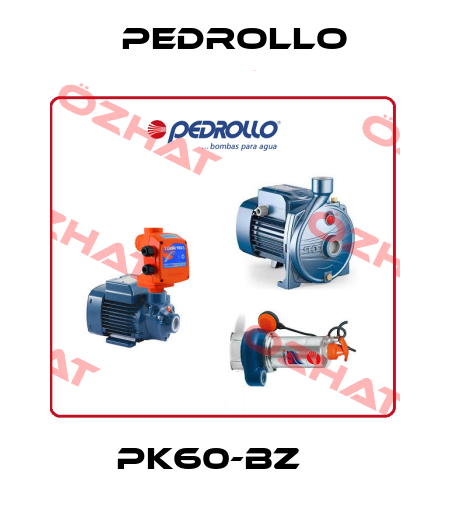 PK60-BZ    Pedrollo