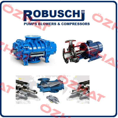 RB60 D/V / S.Nr. 06-31848  Robuschi