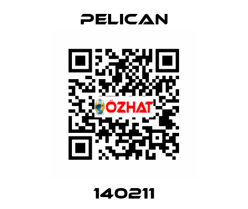 140211 Pelican
