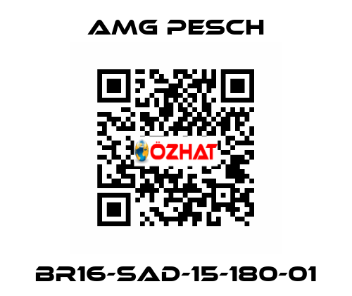 BR16-SAD-15-180-01 AMG Pesch