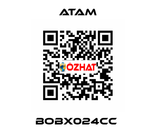 BOBX024CC  ATAM