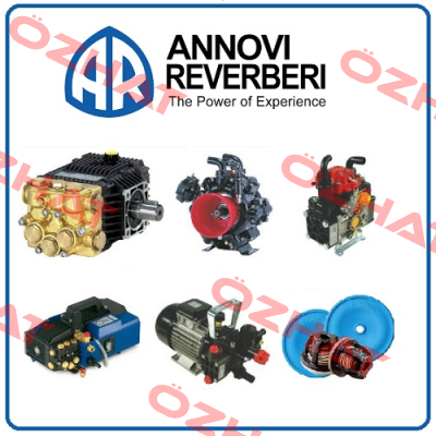 SUCTION AND DISCHARGE VALVE SET FOR SHP 10.50 WASHING PUMP  Annovi Reverberi