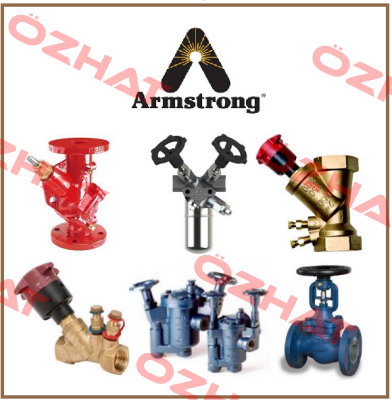 T33AV600 33-AV-SCHRAUBEN-/MUTTERNSATZ FUR ARMSTRONG-ENTLUFTER 33-AV  Armstrong