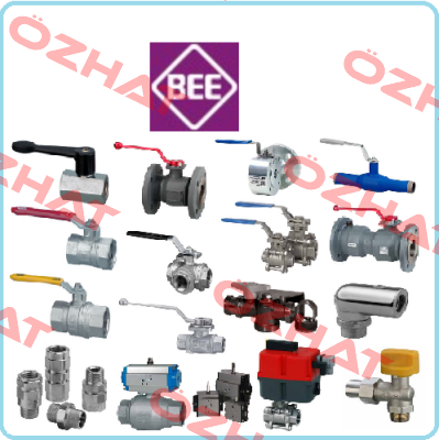 FT582 - RBS BEE