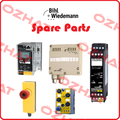 BWU2983 Bihl Wiedemann
