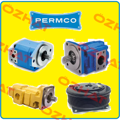 SEAL KIT FOR P5151A224AAXQ25-54   P5151/SK1 Permco