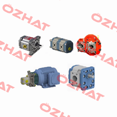 C503.4310 HPI