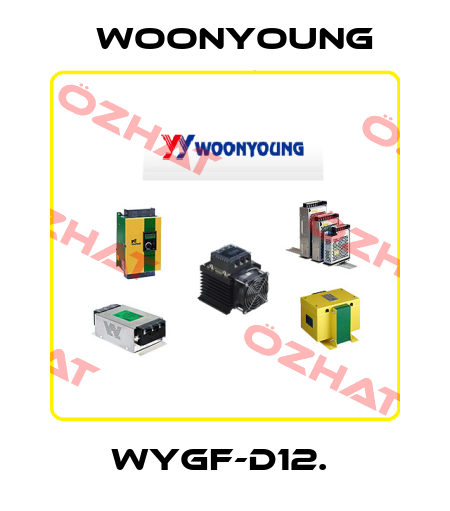WYGF-D12.  WOONYOUNG
