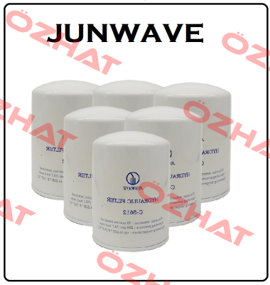 SE-FP-06/08-1-100M-SUS JUNWAVE