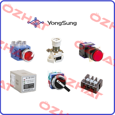 YSCT02-AFS-R  YongSung Electric