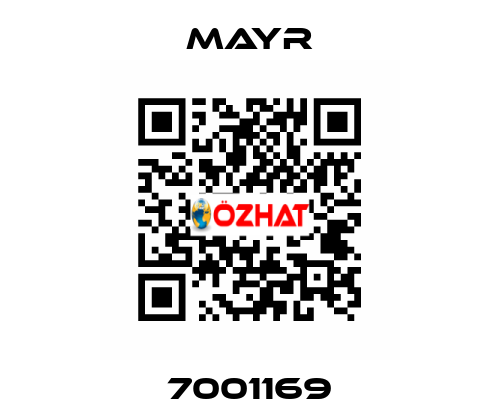 7001169 Mayr